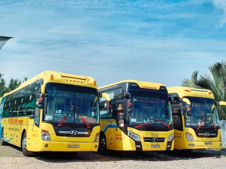 ngay cang co nhieu nha xe tham gia tuyen xe khach sai gon vung tau 1c8fd032 1